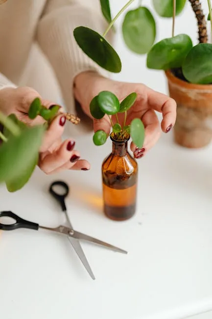 Gardener Taking Plant Cuttings For Propagation
