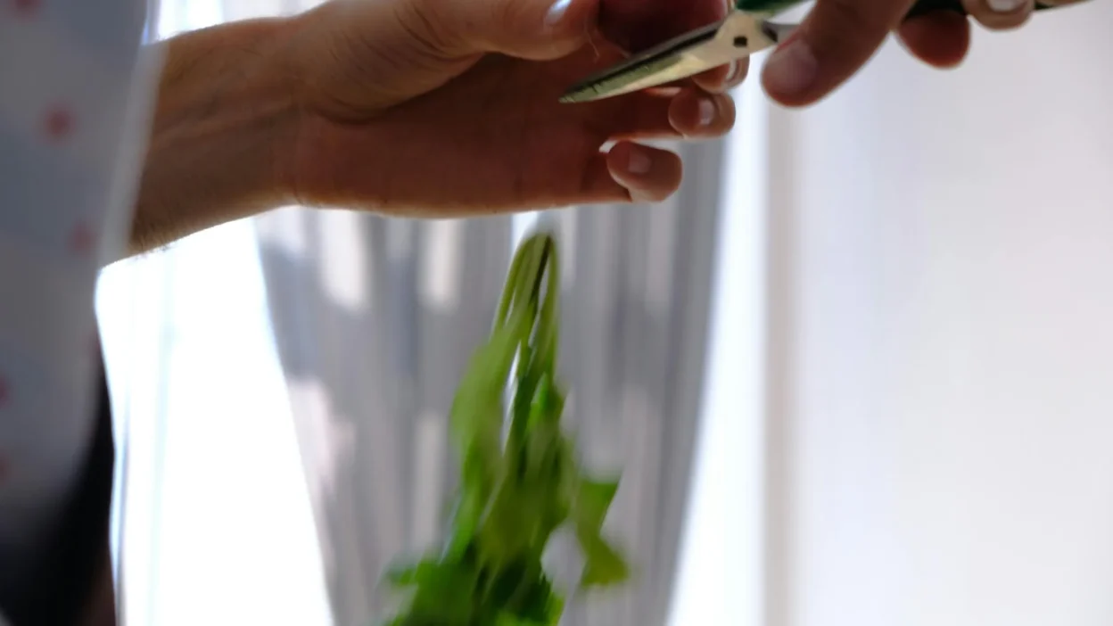 Step-by-step guide showing how to take softwood, semi-hardwood, and hardwood stem cuttings for plant propagation.