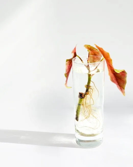 Light Is Essential For Successful Plant Propagation From Cuttings.