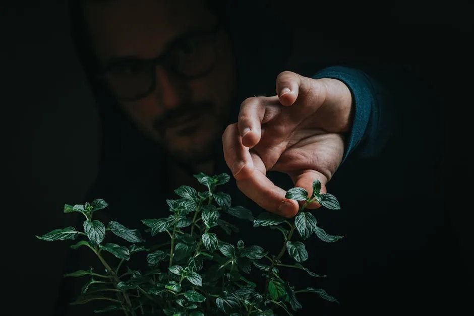 Hands Misting Plant Cuttings For Propagation