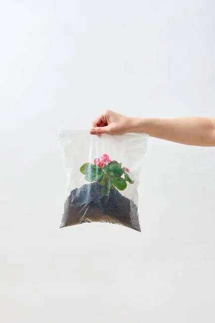Clear Plastic Dome Covering Plants For Propagation