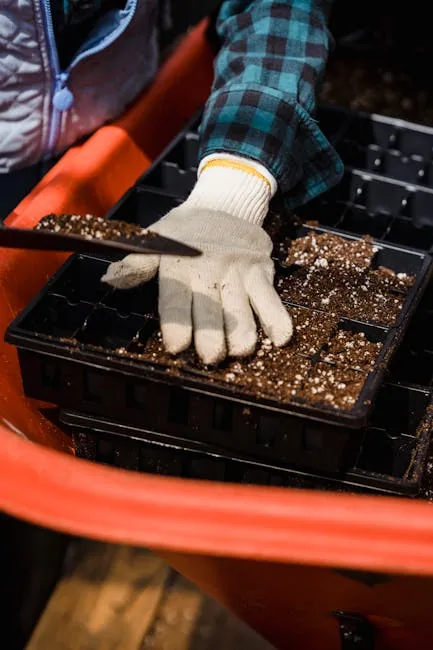 Close-up Comparison Of Seed Starting Mix And Potting Soil